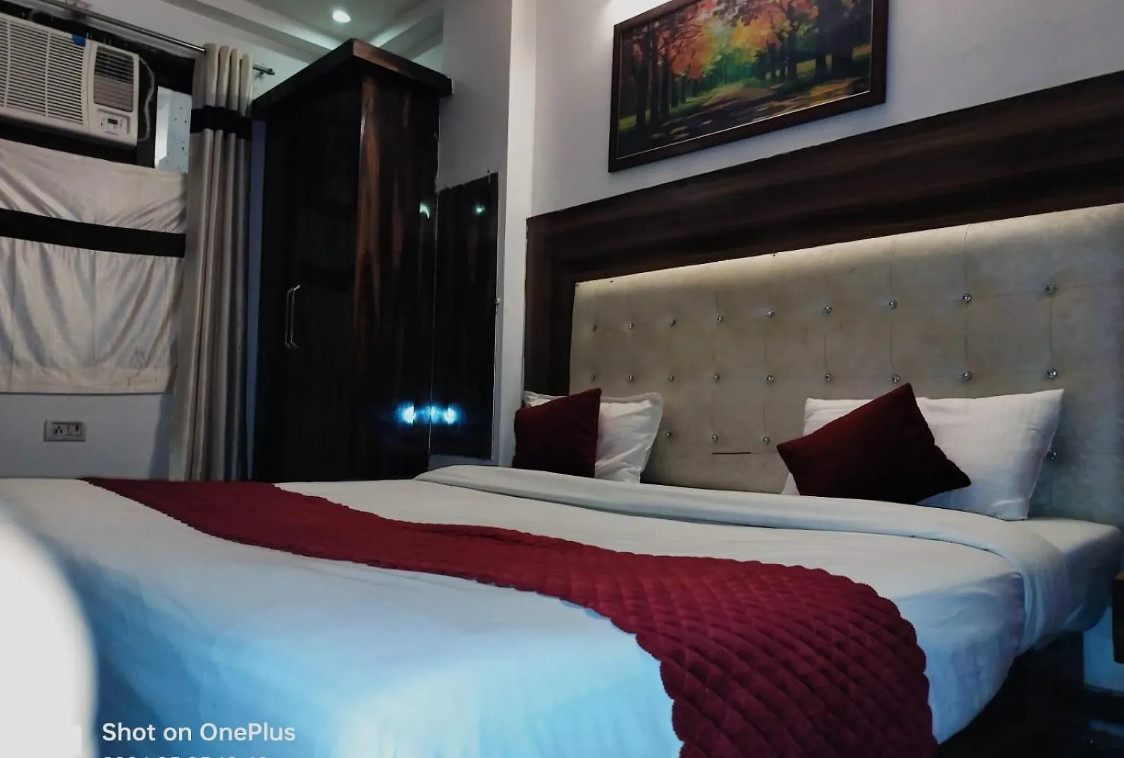 Hotel Janvi Palace Delhi  India