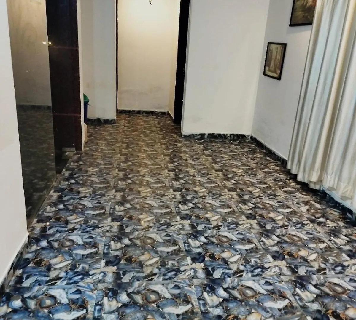 ***  Hotel Janvi Palace Delhi  India